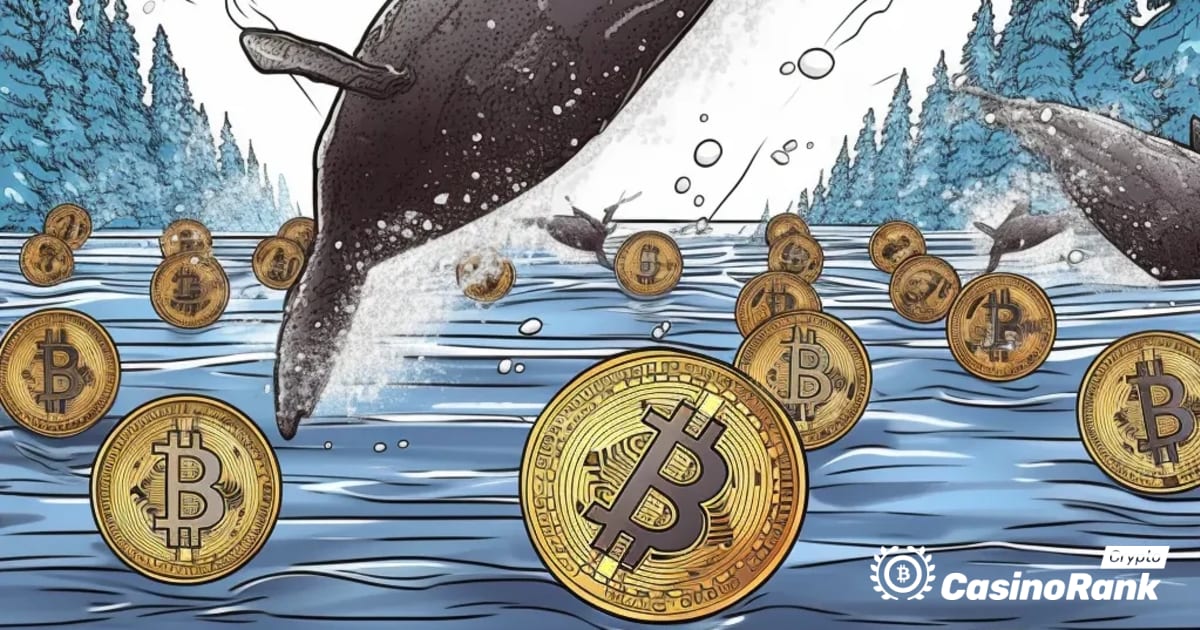 Кретање китова на тржишту криптовалута: Пренети МАТИЦ и СОЛ токени